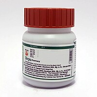 Divya Mahashankh Vati-19 g