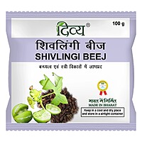Divya Shivlingi Beej-100 g