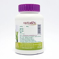 Patanjali Youvan Churna-100 g