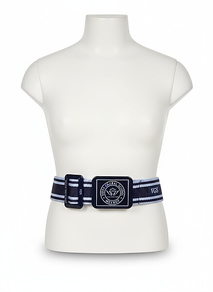 Vidya Global School Belt