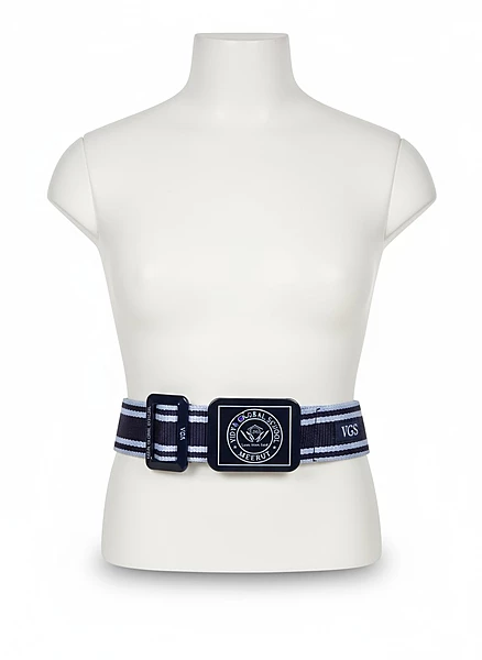 Vidya Global School Belt