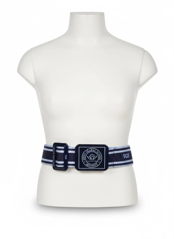 Vidya Global School Belt