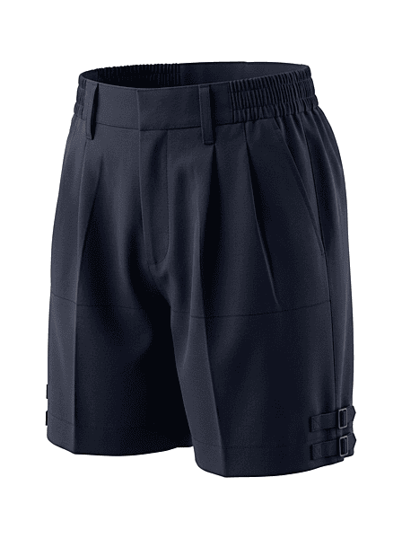 Vidya Global School Nicker