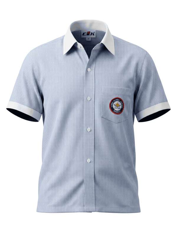 Vidya Global School Shirt (Summer)