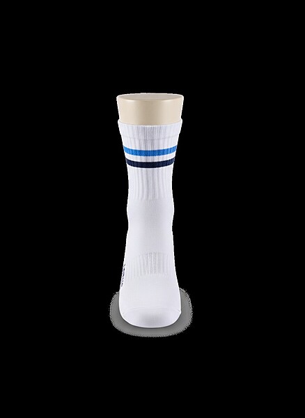 Vidya Global School Socks