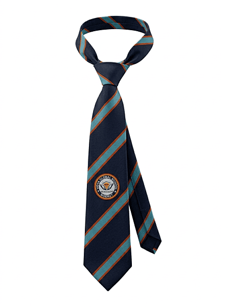Vidya Global School Tie