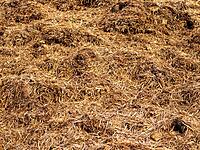 Composting & Organic Manure Processing Service