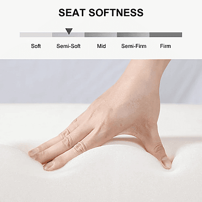 Vikinterio Milan Sofa Cum Bed