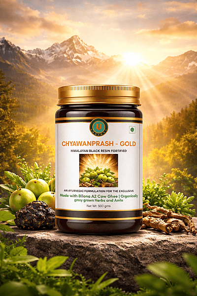 Chyawanprash Gold - Himalayan Black Resin Fortified