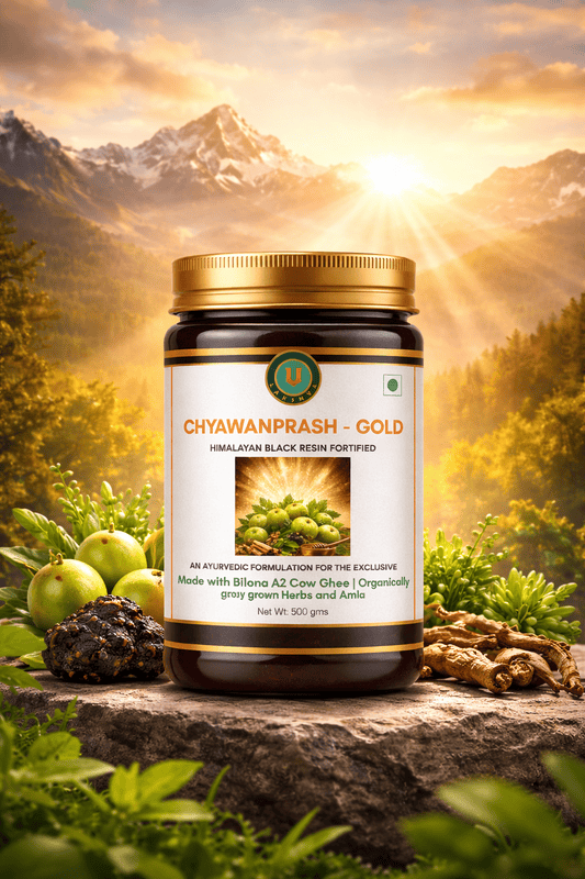 Chyawanprash Gold - Himalayan Black Resin Fortified