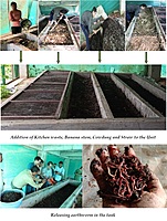 Vermicomposting Unit Installation & Management