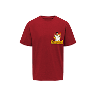 Vetri Nichayam-Thumbs Up-TVK Tees