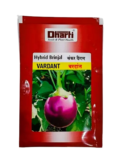 Hybrid Brinjal VARDANT by Dharti Seeds