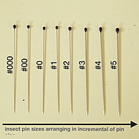 Insect Pins Pure SS without Enamel Coating (100 pins per pack)