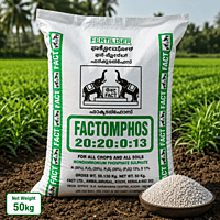 Factomphos 20:20:0:13 | Vetrivel Agro Services