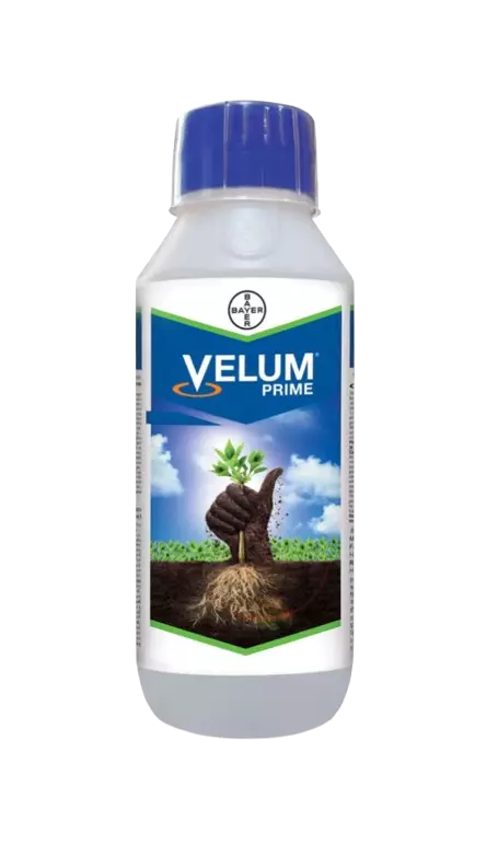 Velume Prime