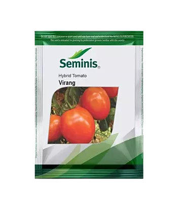 Tomato Virang-3500 seeds