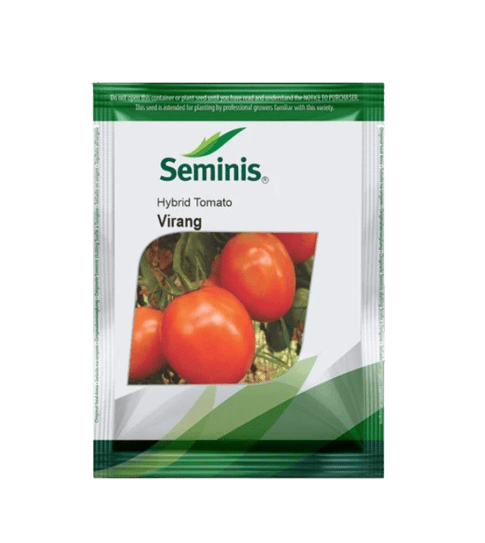 Tomato Virang-3500 seeds
