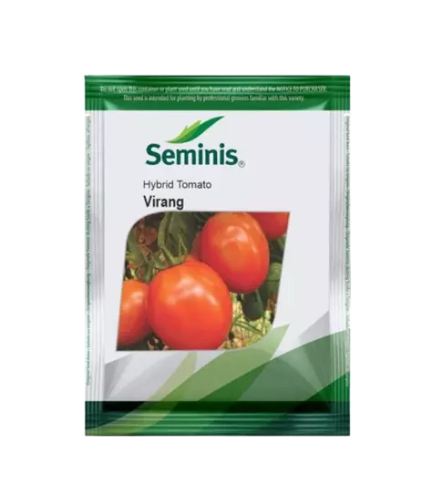 Tomato Virang-3500 seeds