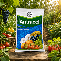 Bayer Antracol® 70 WP (Propineb 70% WP) | Vetrivel Agro Services