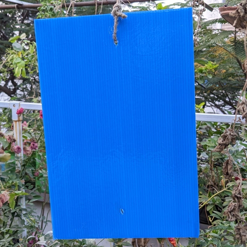 Blue Sticky Trap for Insects A4 size (210*297)