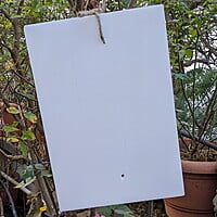 10 Nos pack of White Sticky Trap for Insects A4 size (210*297)