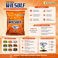 Willowood WILSULF Fungicide & Miticide – Sulphur 80% WDG | Vetrivel Agro Services