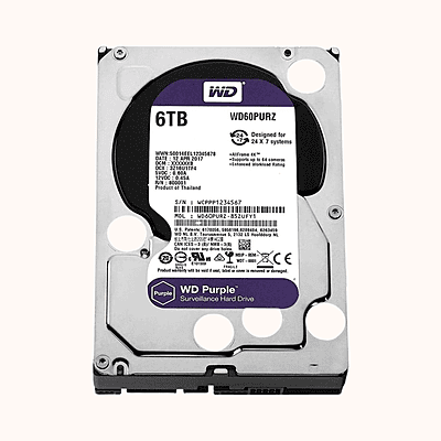WD Purple 6TB SATA (WD60PURZ)