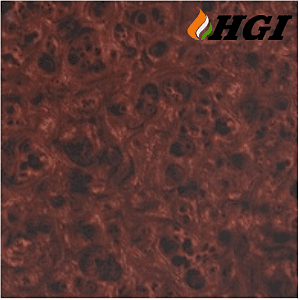 WD004D5-1M Width Transfer Printing Film