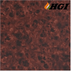 WD004D5-1M Width Transfer Printing Film