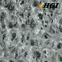 WD261-1M Width Transfer Printing Film