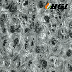 WD261-1M Width Transfer Printing Film