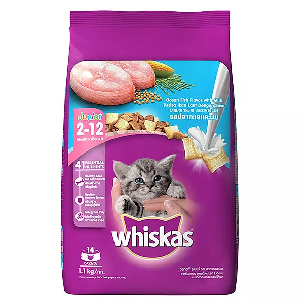 Whiskas Ocean Fish Junior Kitten Dry Food