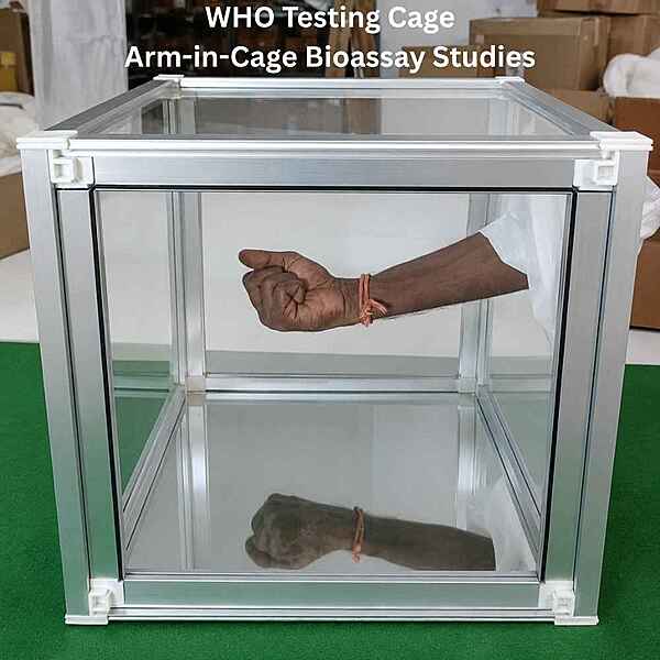 WHO Testing Cage for Arm-in-Cage Bioassay Studies