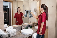 Karcher WVP 10 ADV eu Window Vacuum with Wiper