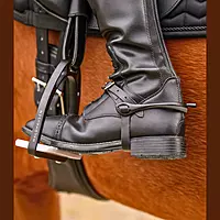 Waldhausen Spurs Gentle Contact/ Grey - 15mm