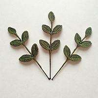 Leaf with Stem Small Dark Green