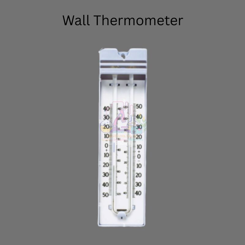 Wall Thermometer