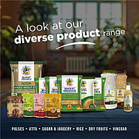 Organic Kashmiri Walnut Kernels