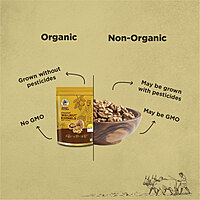 Organic Kashmiri Walnut Kernels