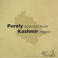 Organic Kashmiri Walnut Kernels