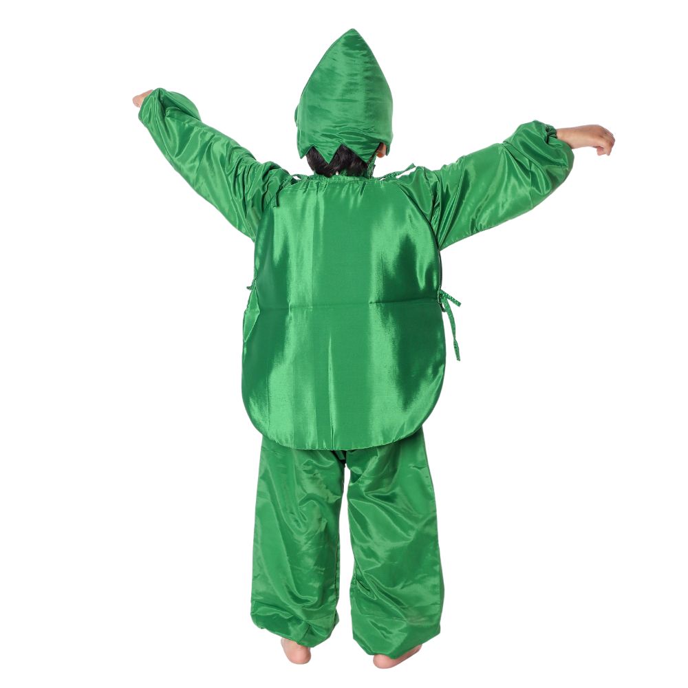 Watermelon Fancy Dress Costume Watermelon Fancy Dress Costume