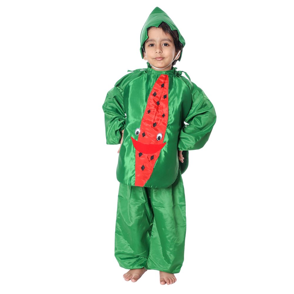 Watermelon Fancy Dress Costume