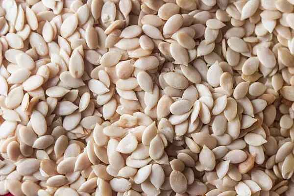 Water Melon Seeds