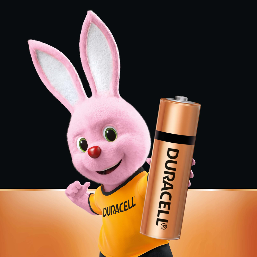 Duracell AA Alkaline Battery