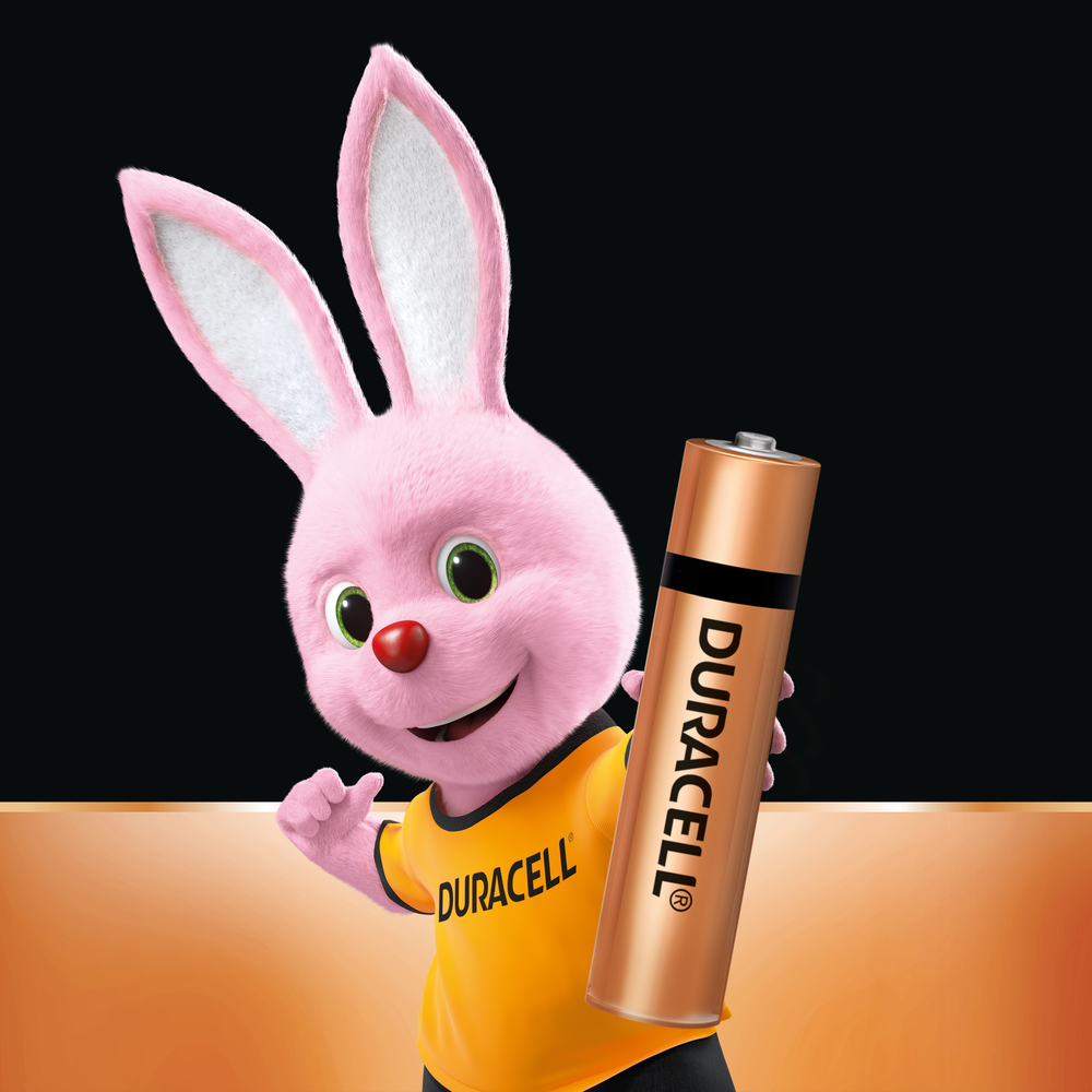 Duracell AAA Alkaline Battery