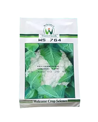 Welcome Cauliflower Seeds WS 764