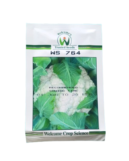 Welcome Cauliflower Seeds WS 764