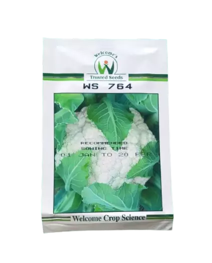 Welcome Cauliflower Seeds WS 764