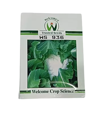 Welcome Califlower WS 936 - 10gm